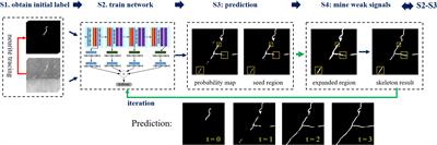 Weakly Supervised Learning of 3D Deep Network for Neuron Reconstruction